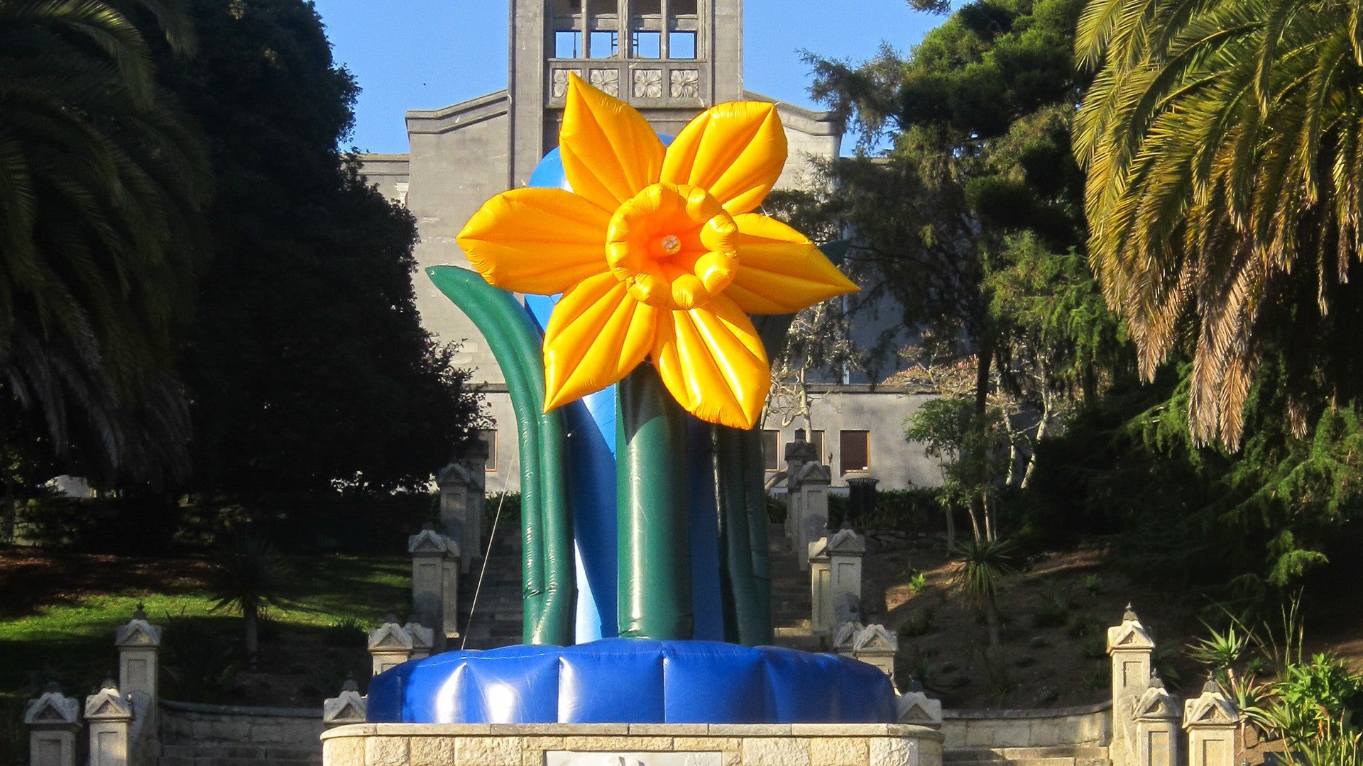 Custom Promotional Inflatables