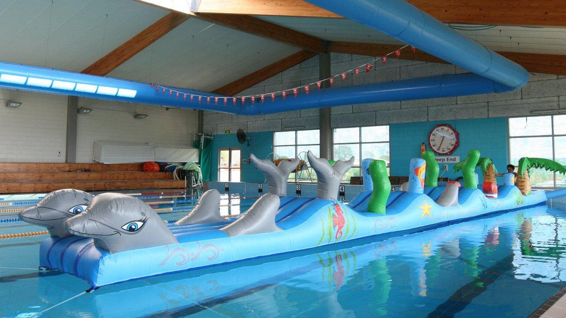 Surf Dolphin